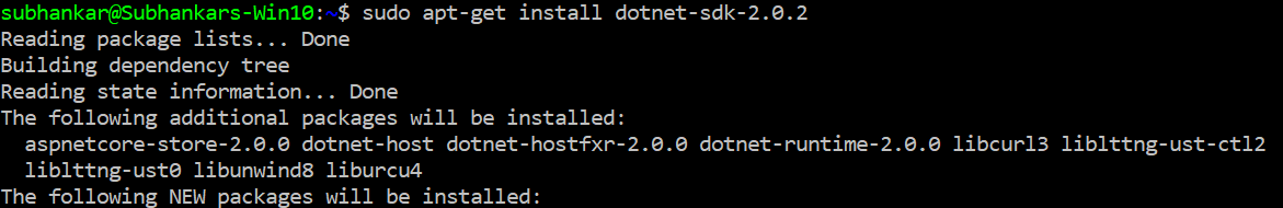 install dot net core